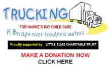 Make a donation to Little Elms